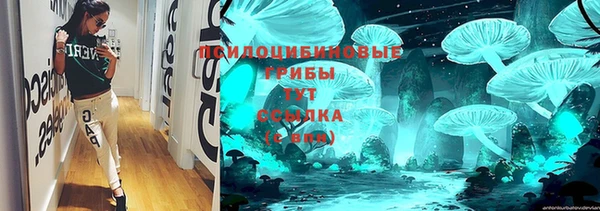 МДПВ Абинск