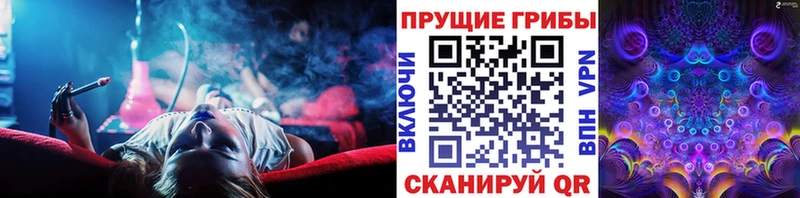 Галлюциногенные грибы Magic Shrooms Новоульяновск